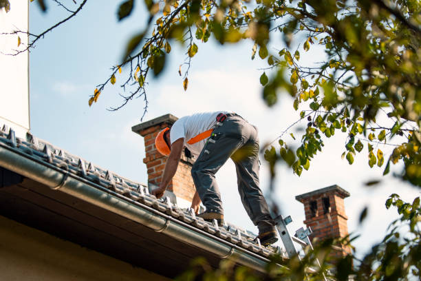 Best New Roof Installation  in Wolverine Lake, MI