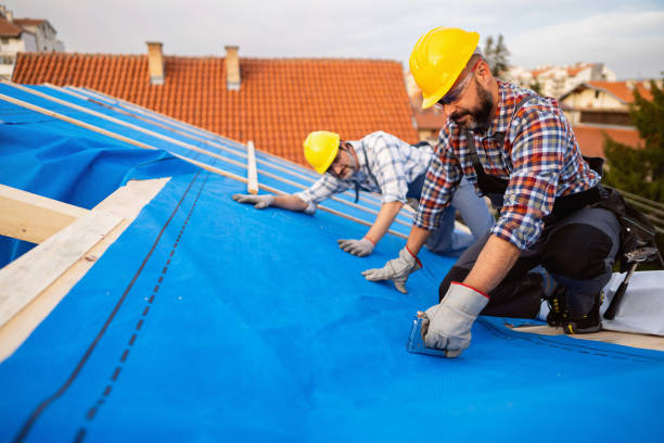 Best Roof Repair Services  in Wolverine Lake, MI