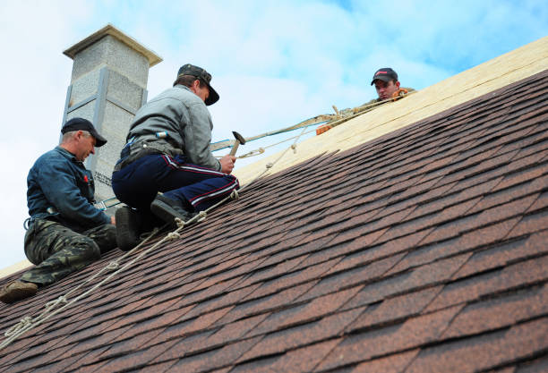 Best Local Roofing Companies  in Wolverine Lake, MI