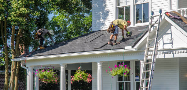 Best Roof Repair Services  in Wolverine Lake, MI
