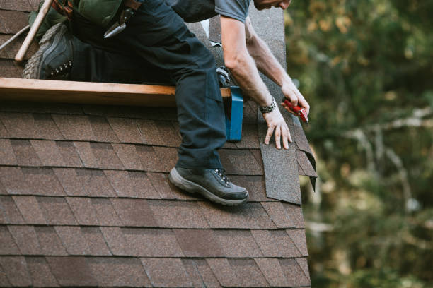 Best Roof Waterproofing Services  in Wolverine Lake, MI